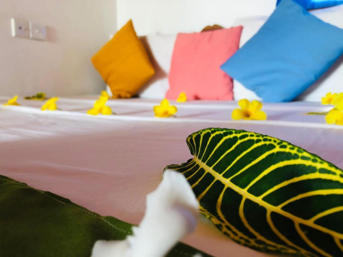 Rock Paradise Beach Hotel & Restaurent Tangalle Zewnętrze zdjęcie